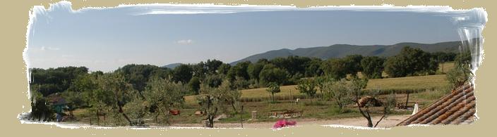 Agriturismo Umbria - Podere dell'Olmo